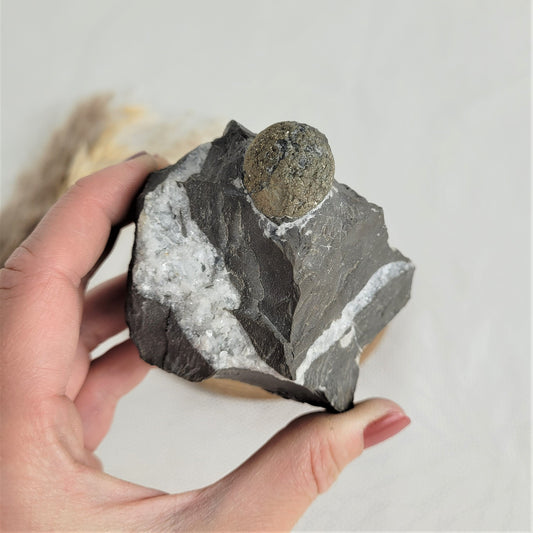 Pyrit Knolle natürlich gewachsen auf Gebirgsgestein