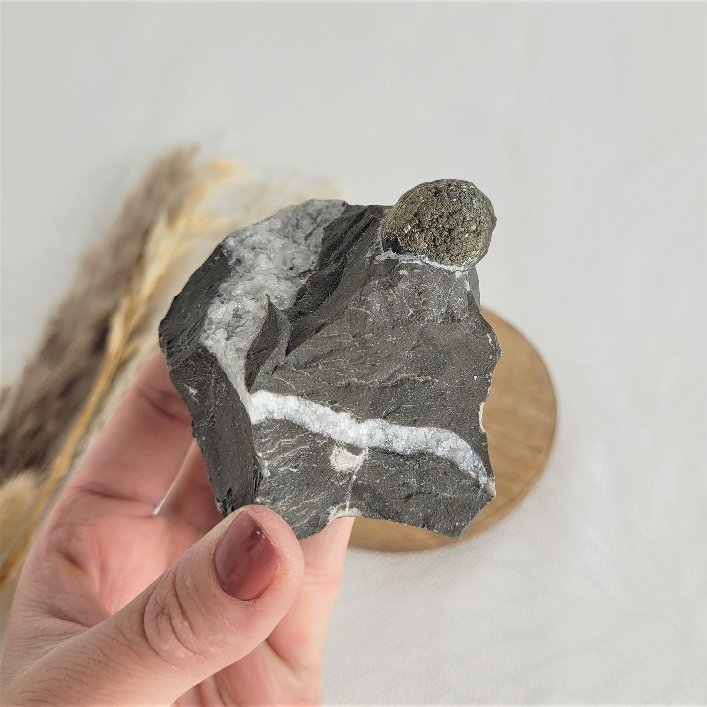 Pyrit kugelförmig auf Gebirgsgestein aus Österreich Alpine Mineralien