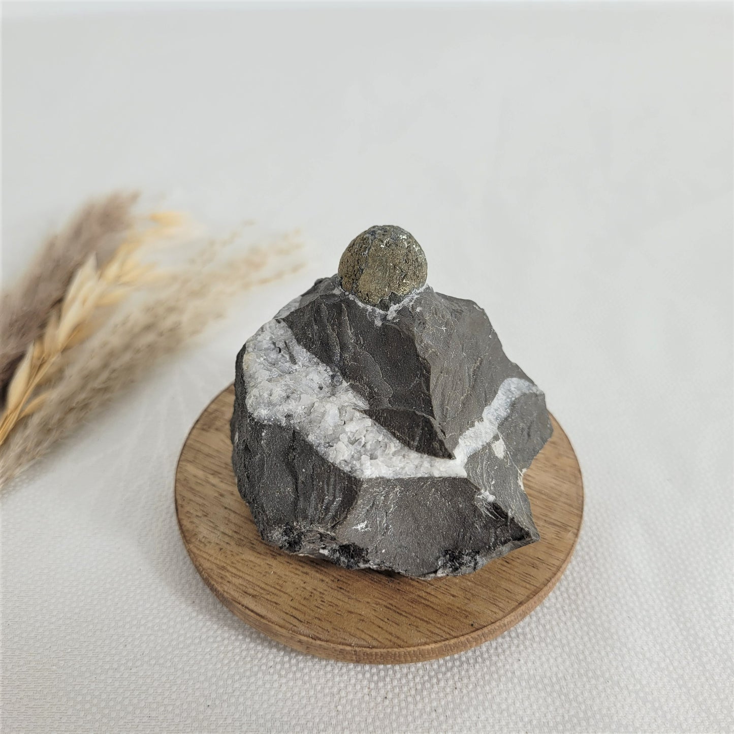 Pyrit kugelförmig auf Gebirgsgestein aus Österreich Alpine Mineralien