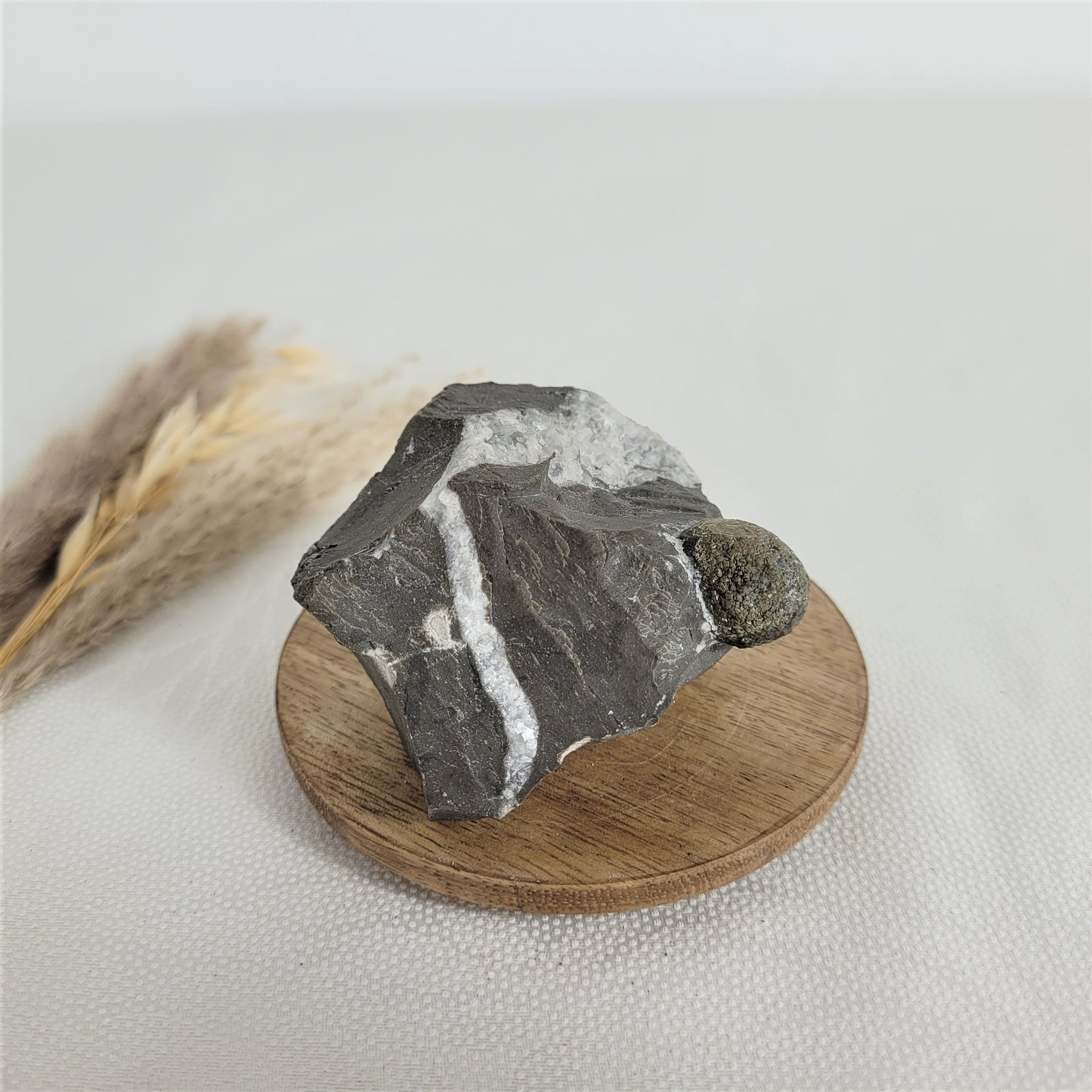 Pyrit kugelförmig auf Gebirgsgestein aus Österreich Alpine Mineralien