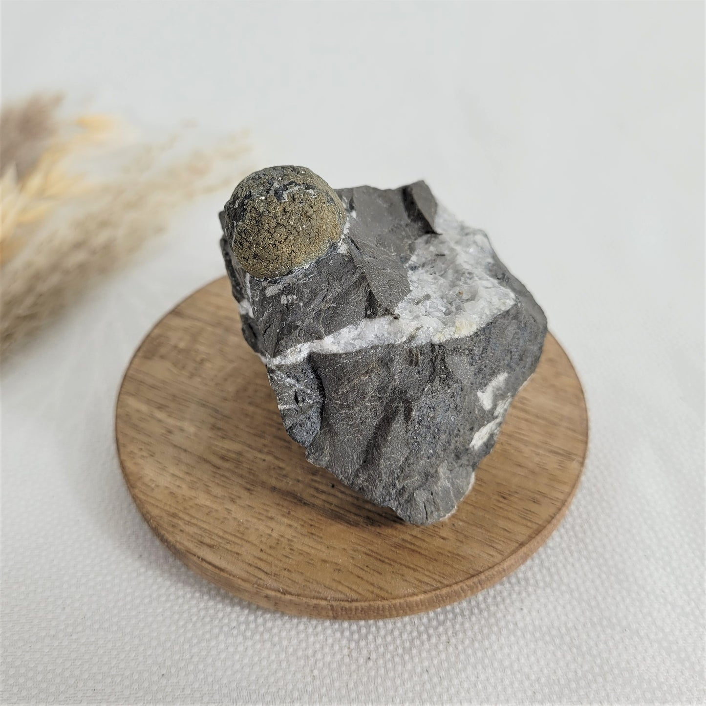 Pyrit kugelförmig auf Gebirgsgestein aus Österreich Alpine Mineralien