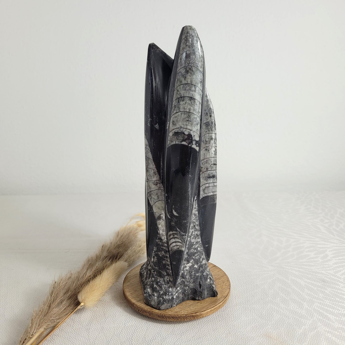 Orthoceraten Fossilien Turm 22 x 8cm