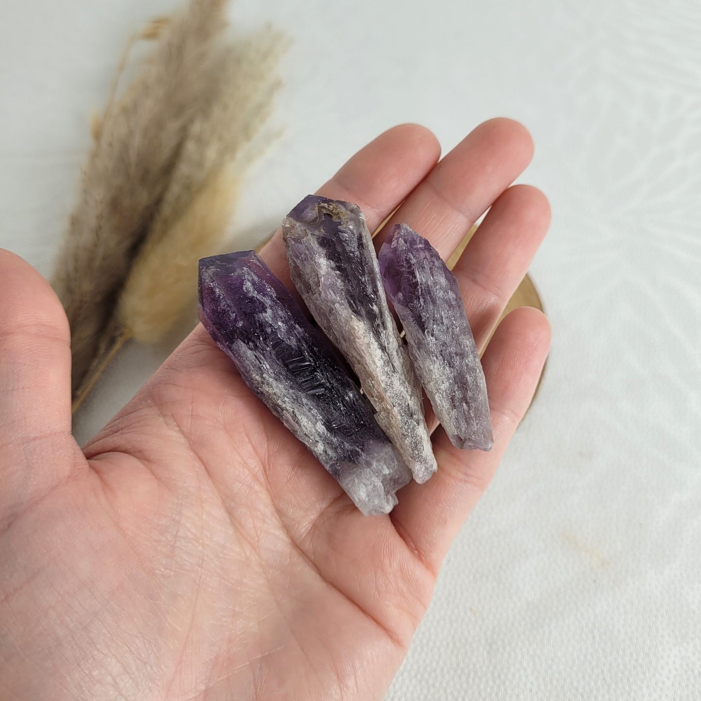 Überraschungstüte Wundertüte Amethystwurzeln Inhalt: 12 Stück