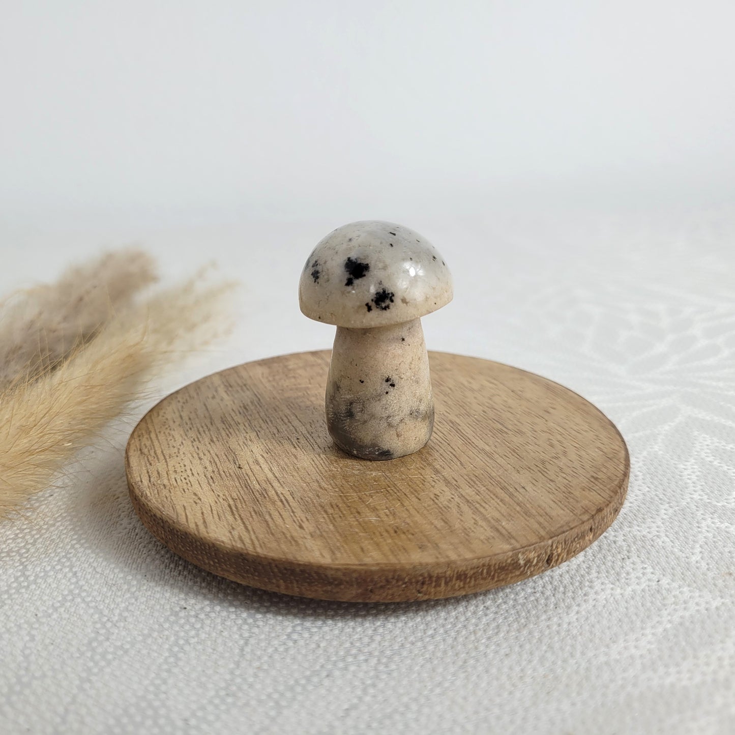 Dendriten Opal Mini Pilz