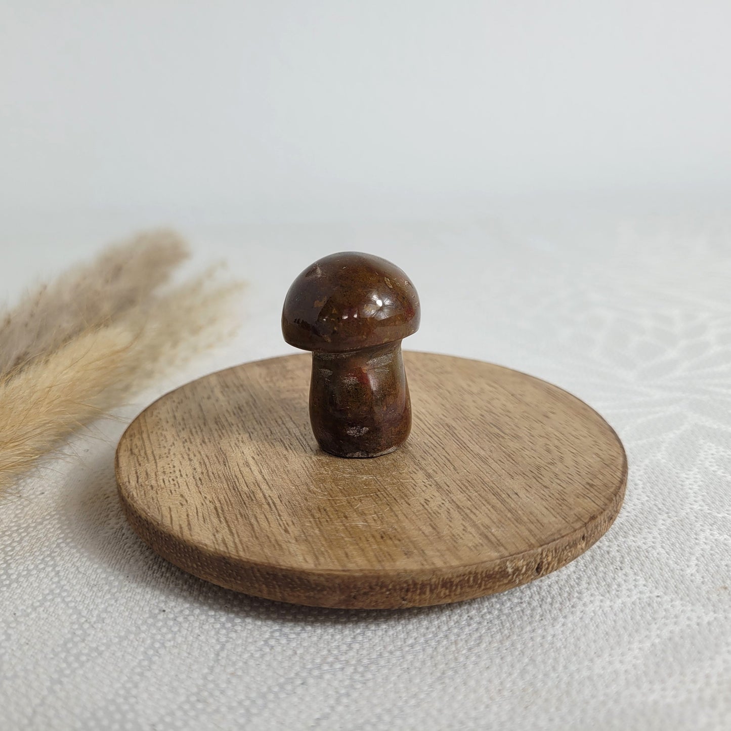 Ozean Jaspis Mini Pilz