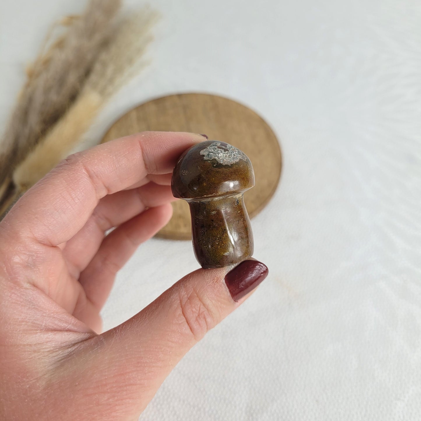 Ozean Jaspis Mini Pilz