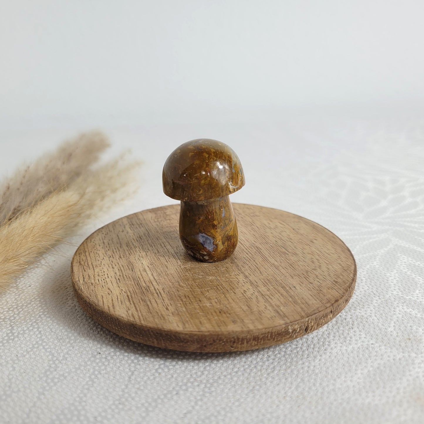 Ozean Jaspis Mini Pilz
