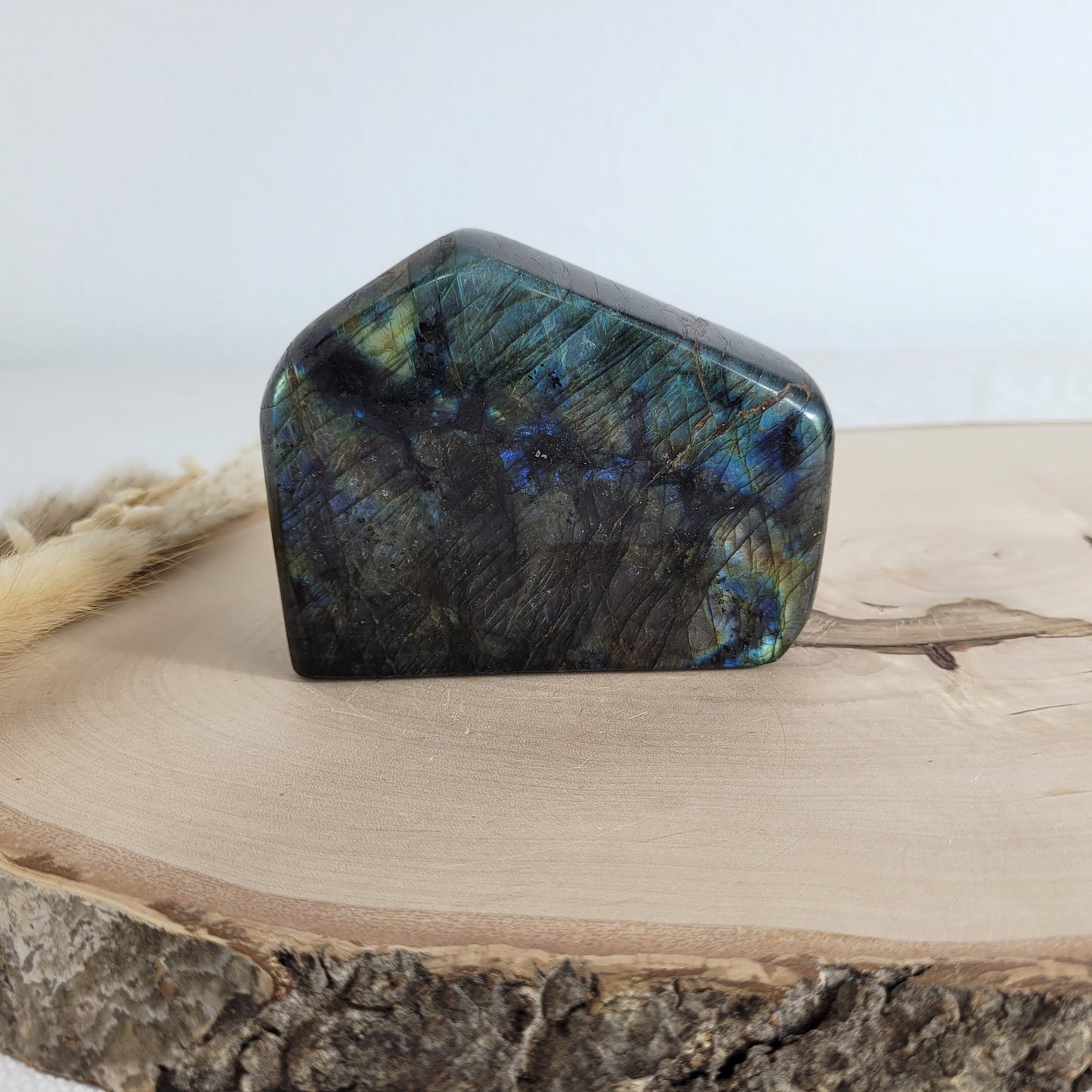 Labradorit Freiform mit natürlichem, intensivem Farbspiel, präsentiert auf einer Holzscheibe. Die typische Lamellenstruktur bricht das Licht auf besondere Weise und macht das Stück zu einem besonderen Blickfang.