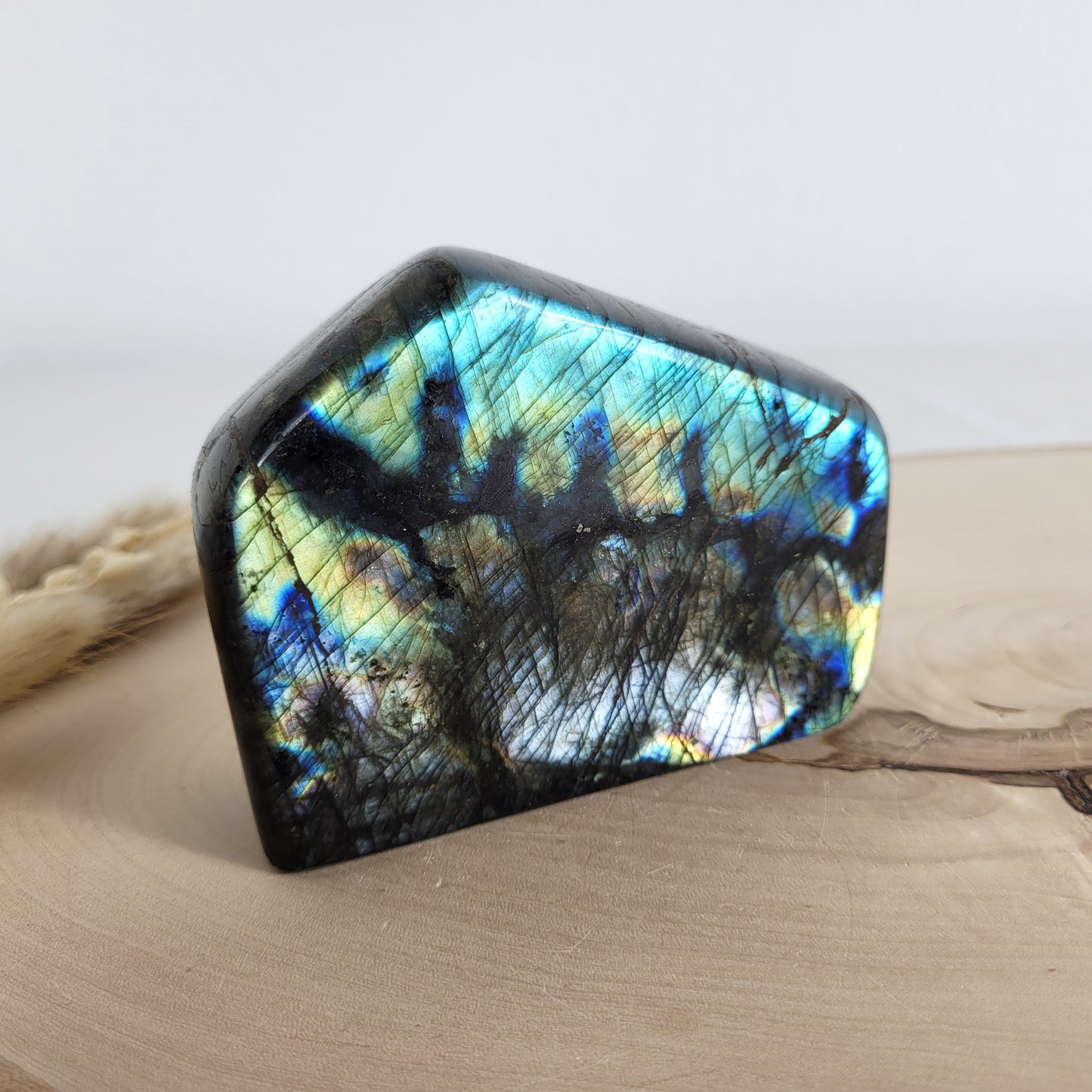 Labradorit Freiform mit natürlichem, intensivem Farbspiel, präsentiert auf einer Holzscheibe. Die typische Lamellenstruktur bricht das Licht auf besondere Weise und macht das Stück zu einem besonderen Blickfang.