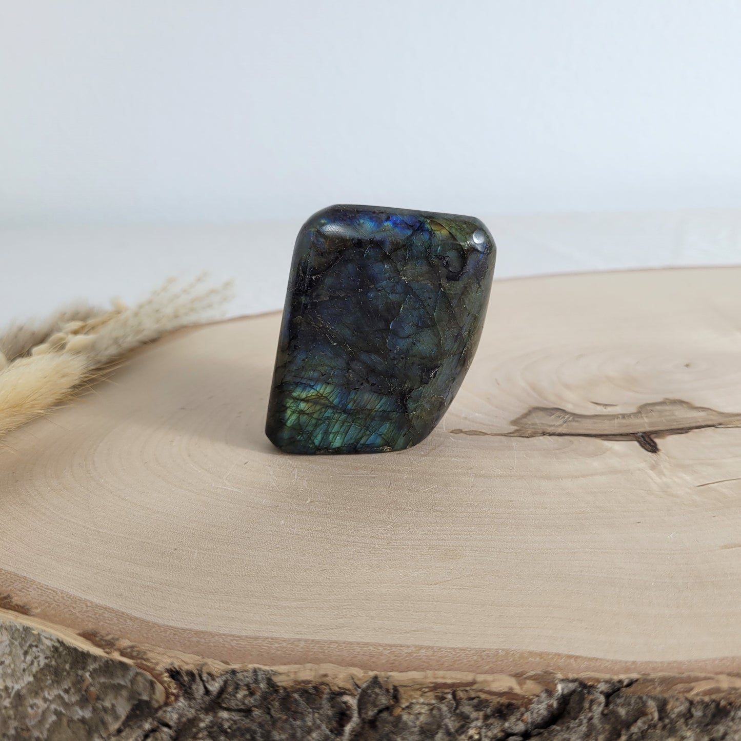 Labradorit Freiform mit natürlichem, intensivem Farbspiel, präsentiert auf einer Holzscheibe. Die typische Lamellenstruktur bricht das Licht auf besondere Weise und macht das Stück zu einem besonderen Blickfang.