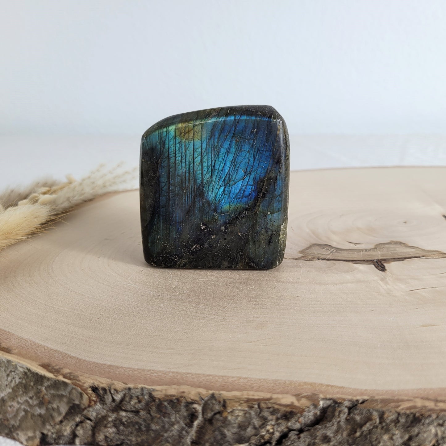 Labradorit Freiform mit natürlichem, intensivem Farbspiel, präsentiert auf einer Holzscheibe. Die typische Lamellenstruktur bricht das Licht auf besondere Weise und macht das Stück zu einem besonderen Blickfang.