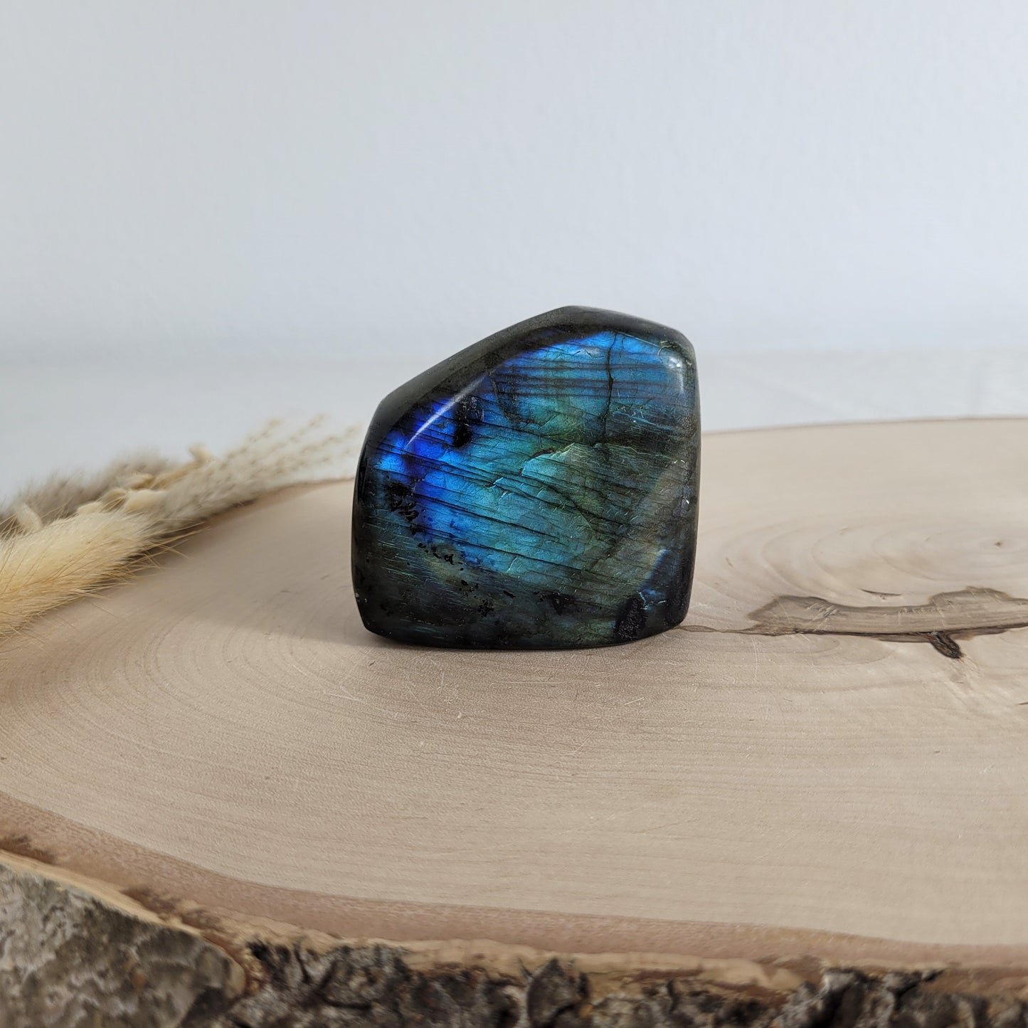 Labradorit Freiform mit natürlichem, intensivem Farbspiel, präsentiert auf einer Holzscheibe. Die typische Lamellenstruktur bricht das Licht auf besondere Weise und macht das Stück zu einem besonderen Blickfang.