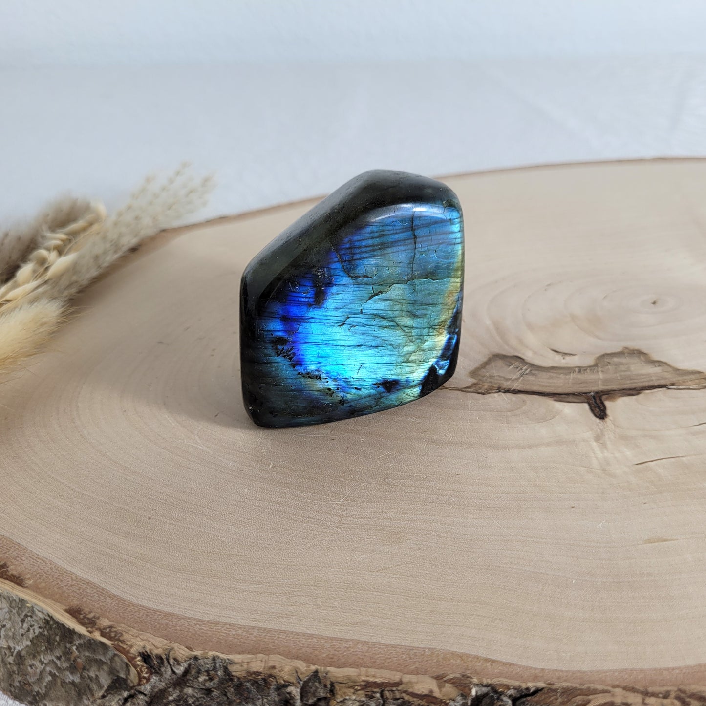 Labradorit Freiform mit natürlichem, intensivem Farbspiel, präsentiert auf einer Holzscheibe. Die typische Lamellenstruktur bricht das Licht auf besondere Weise und macht das Stück zu einem besonderen Blickfang.