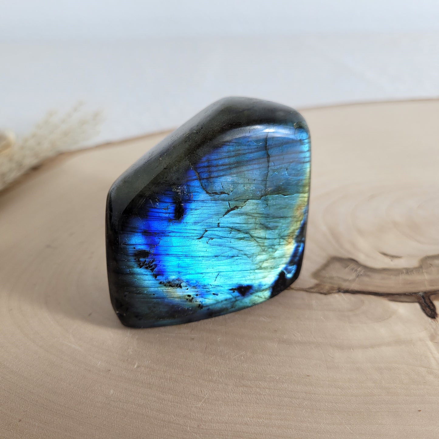Labradorit Freiform mit natürlichem, intensivem Farbspiel, präsentiert auf einer Holzscheibe. Die typische Lamellenstruktur bricht das Licht auf besondere Weise und macht das Stück zu einem besonderen Blickfang.