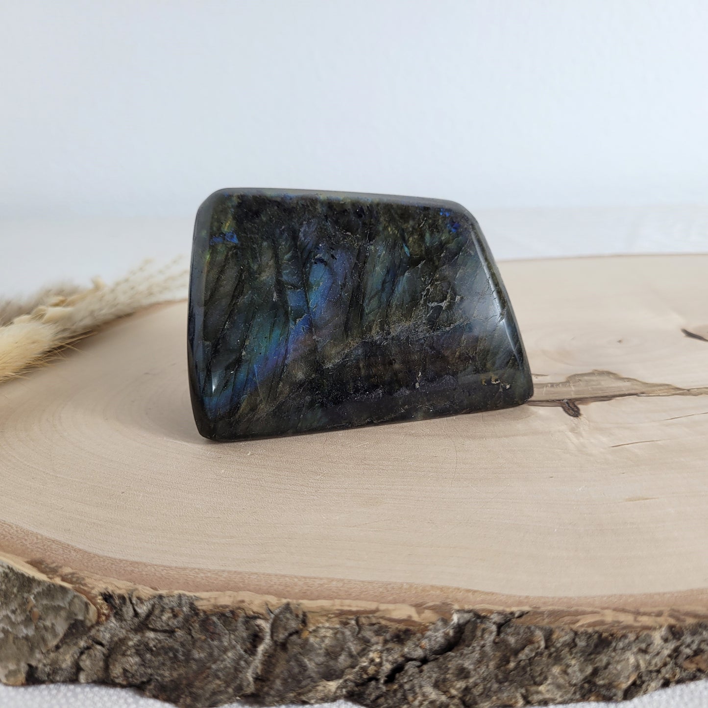 Labradorit Freiform mit natürlichem, intensivem Farbspiel, präsentiert auf einer Holzscheibe. Die typische Lamellenstruktur bricht das Licht auf besondere Weise und macht das Stück zu einem besonderen Blickfang.