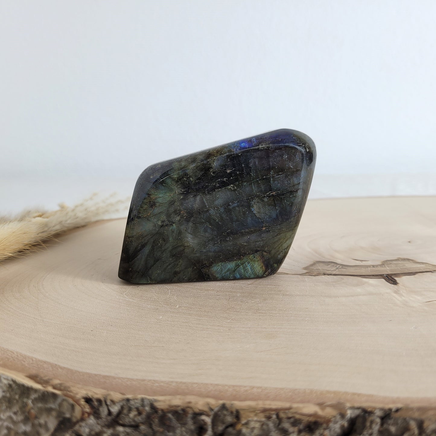 Labradorit Freiform mit natürlichem, intensivem Farbspiel, präsentiert auf einer Holzscheibe. Die typische Lamellenstruktur bricht das Licht auf besondere Weise und macht das Stück zu einem besonderen Blickfang.