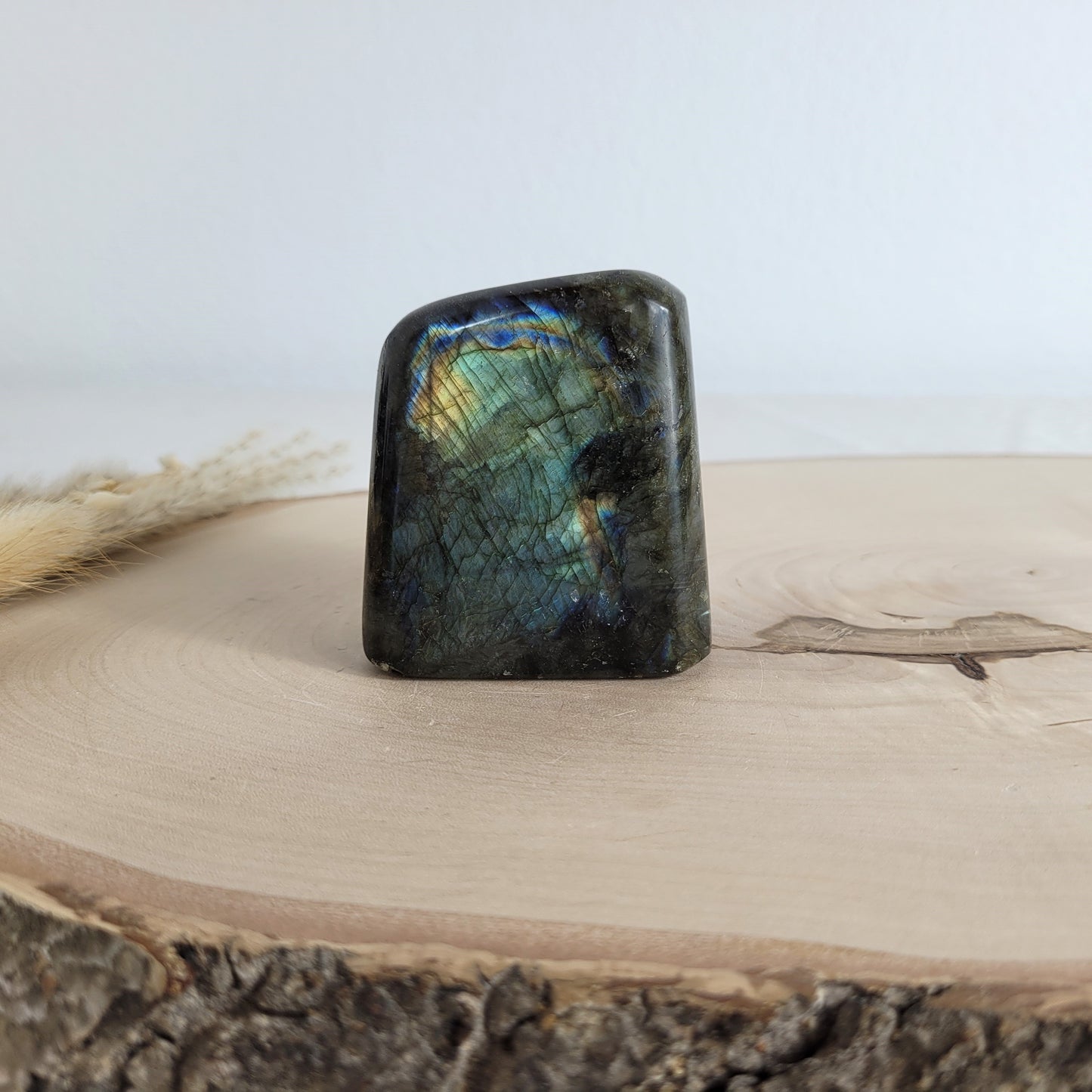Labradorit Freiform mit natürlichem, intensivem Farbspiel, präsentiert auf einer Holzscheibe. Die typische Lamellenstruktur bricht das Licht auf besondere Weise und macht das Stück zu einem besonderen Blickfang.