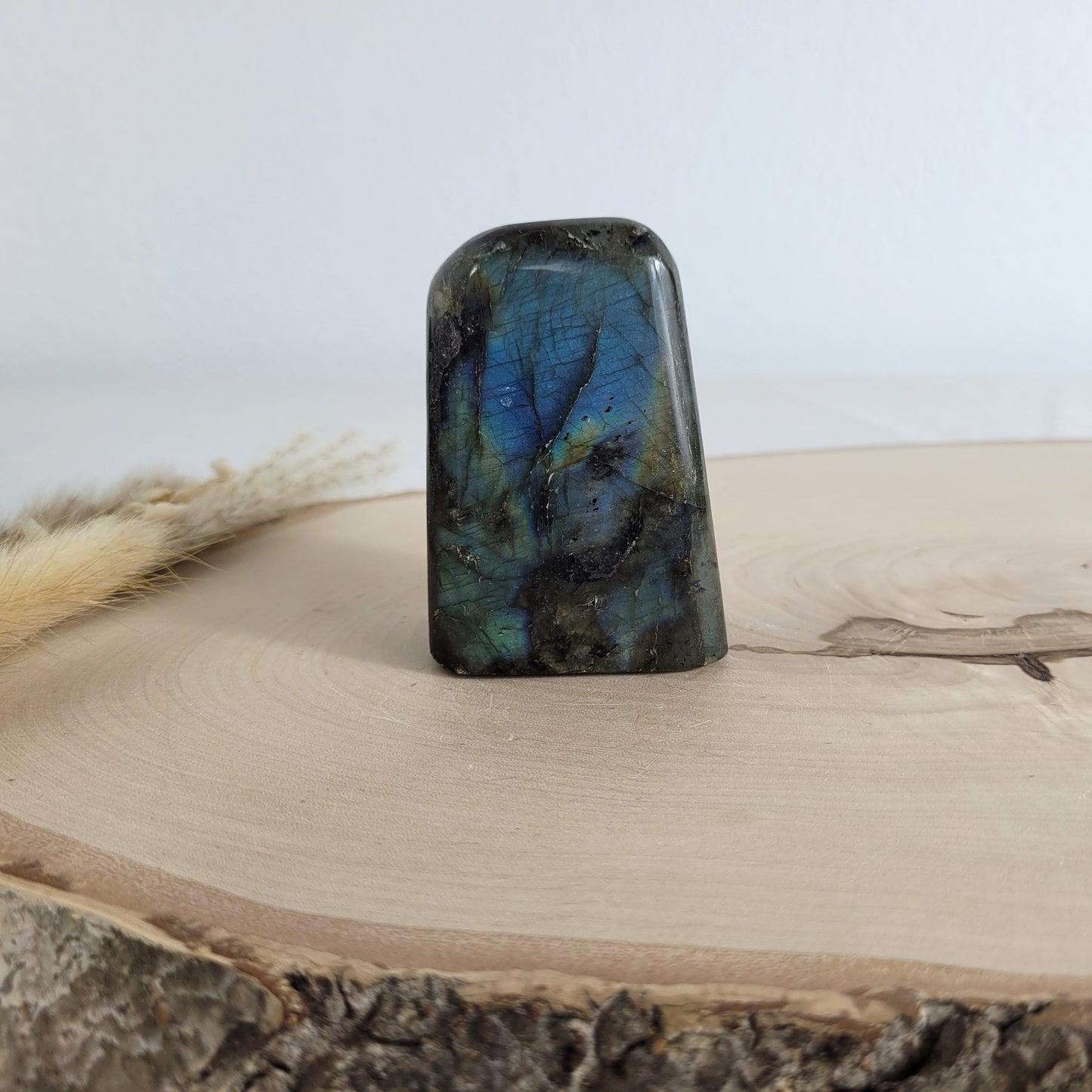 Labradorit Freiform mit natürlichem, intensivem Farbspiel, präsentiert auf einer Holzscheibe. Die typische Lamellenstruktur bricht das Licht auf besondere Weise und macht das Stück zu einem besonderen Blickfang.