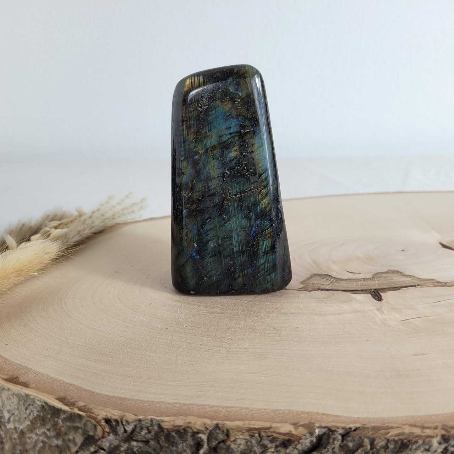 Labradorit Freiform mit natürlichem, intensivem Farbspiel, präsentiert auf einer Holzscheibe. Die typische Lamellenstruktur bricht das Licht auf besondere Weise und macht das Stück zu einem besonderen Blickfang.