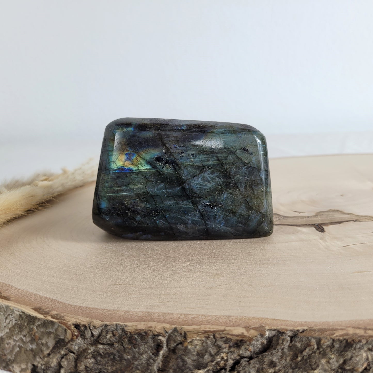 Labradorit Freiform mit natürlichem, intensivem Farbspiel, präsentiert auf einer Holzscheibe. Die typische Lamellenstruktur bricht das Licht auf besondere Weise und macht das Stück zu einem besonderen Blickfang.