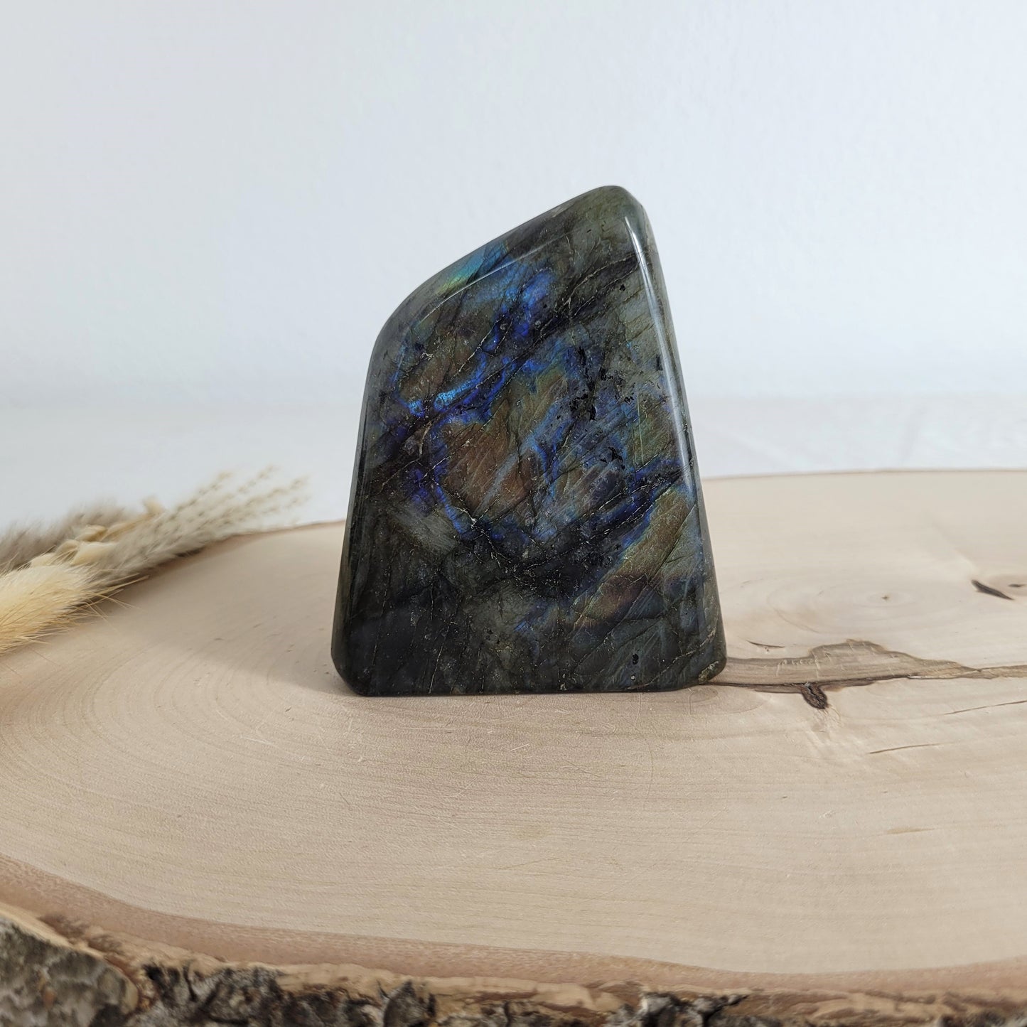 Labradorit Freiform mit natürlichem, intensivem Farbspiel, präsentiert auf einer Holzscheibe. Die typische Lamellenstruktur bricht das Licht auf besondere Weise und macht das Stück zu einem besonderen Blickfang.