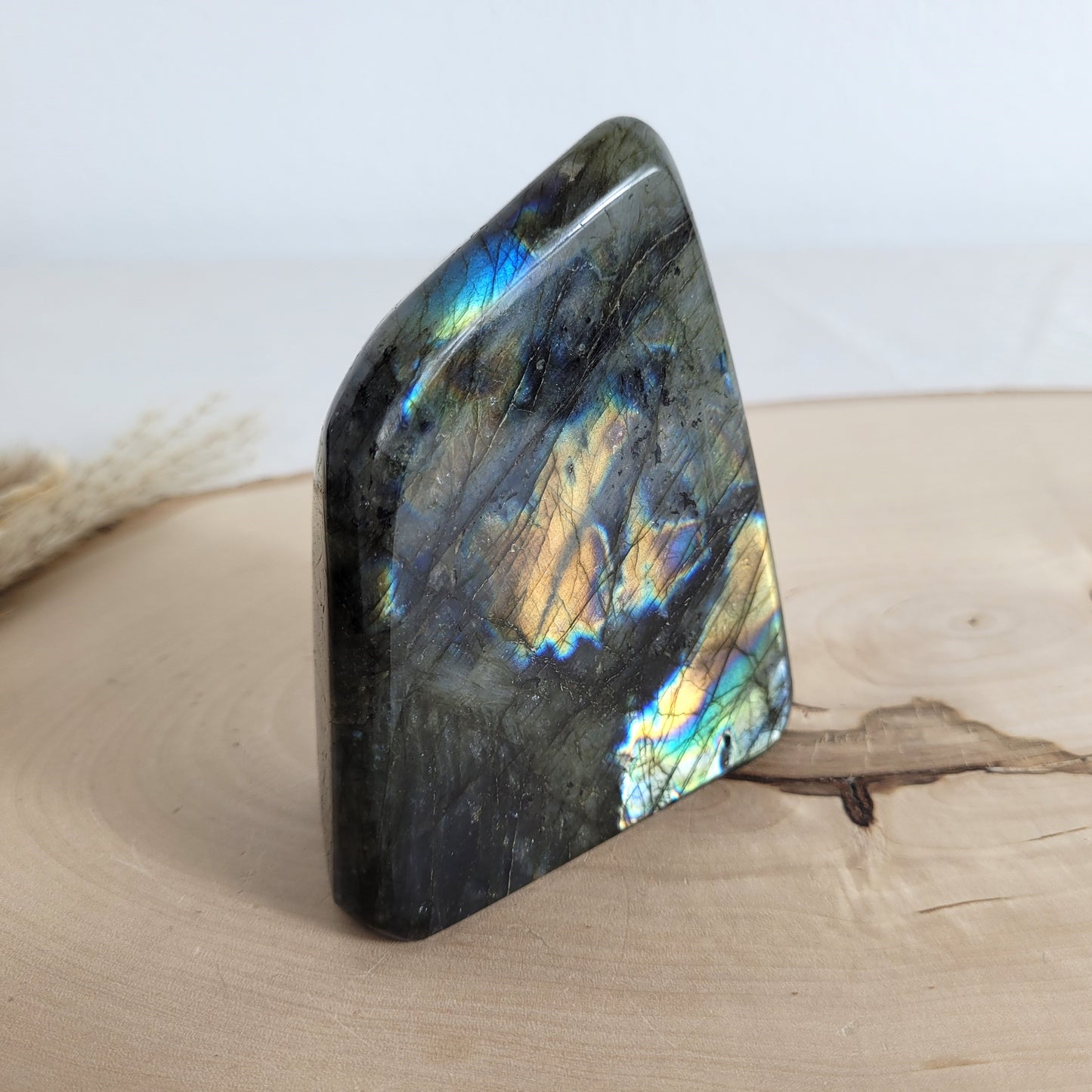 Labradorit Freiform mit natürlichem, intensivem Farbspiel, präsentiert auf einer Holzscheibe. Die typische Lamellenstruktur bricht das Licht auf besondere Weise und macht das Stück zu einem besonderen Blickfang.
