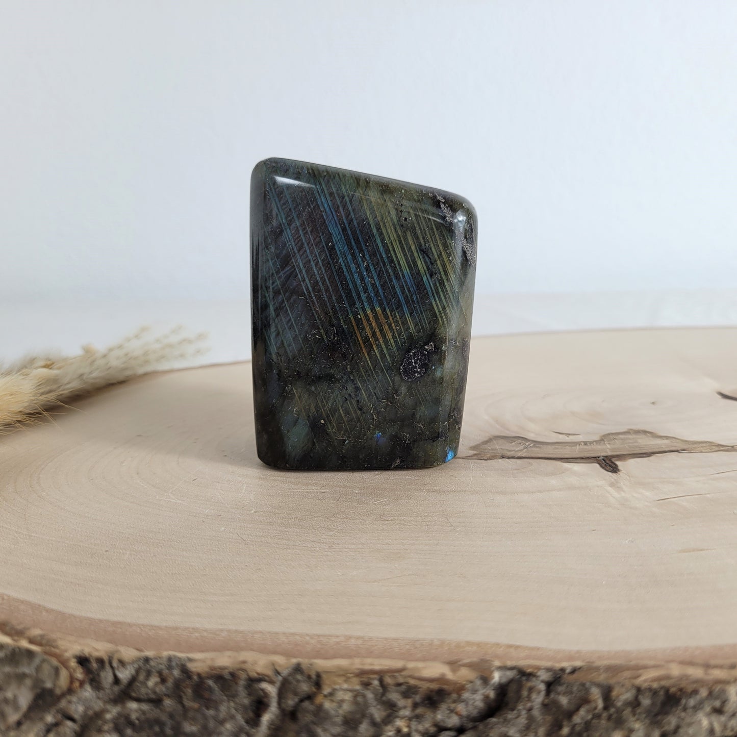 Labradorit Freiform mit natürlichem, intensivem Farbspiel, präsentiert auf einer Holzscheibe. Die typische Lamellenstruktur bricht das Licht auf besondere Weise und macht das Stück zu einem besonderen Blickfang.