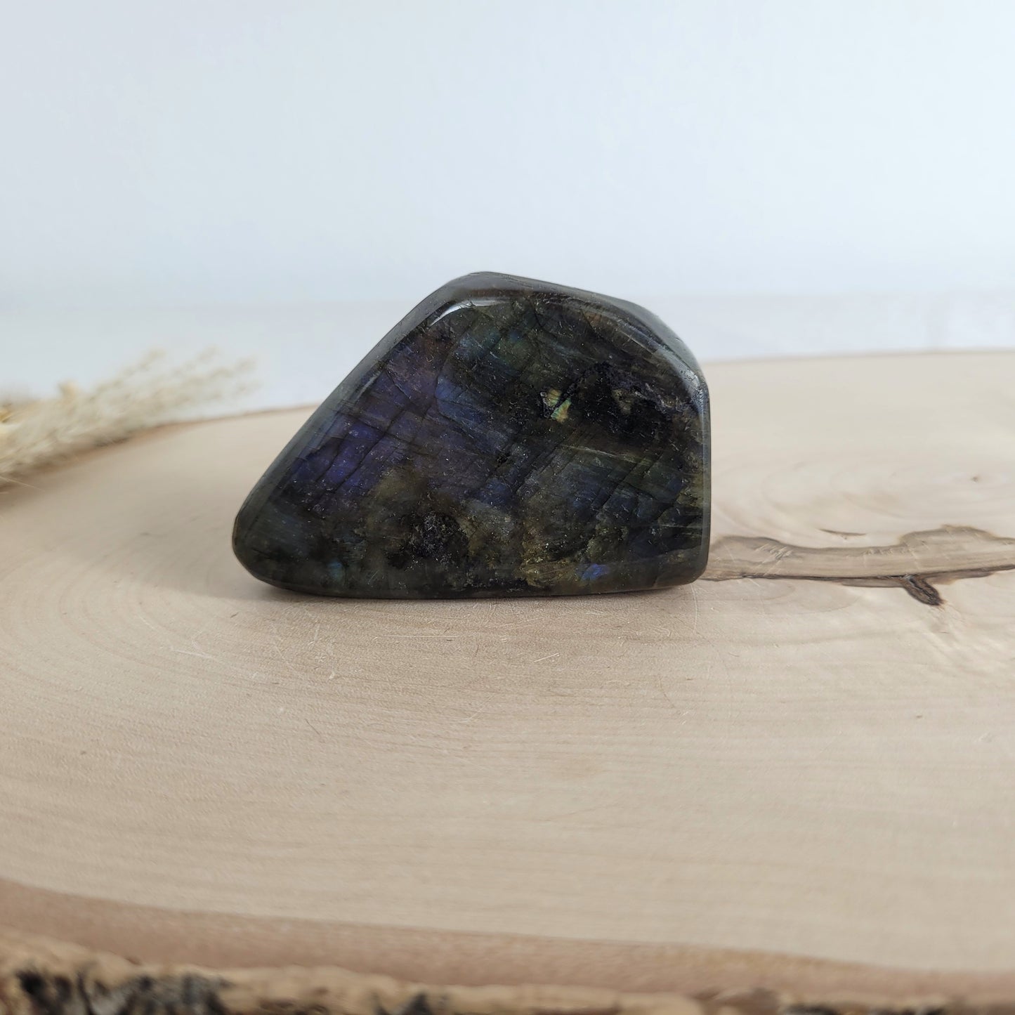 Labradorit Freiform mit natürlichem, intensivem Farbspiel, präsentiert auf einer Holzscheibe. Die typische Lamellenstruktur bricht das Licht auf besondere Weise und macht das Stück zu einem besonderen Blickfang.