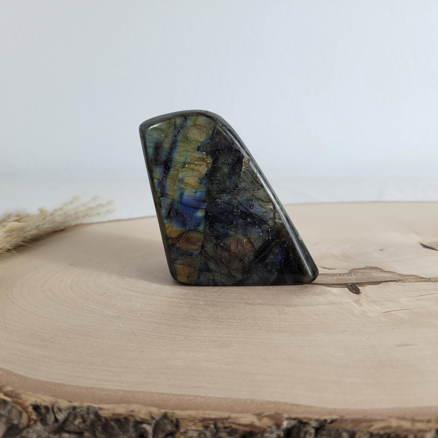 Labradorit Freiform mit natürlichem, intensivem Farbspiel, präsentiert auf einer Holzscheibe. Die typische Lamellenstruktur bricht das Licht auf besondere Weise und macht das Stück zu einem besonderen Blickfang.