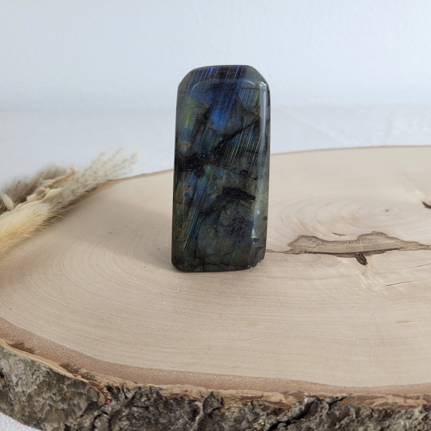 Labradorit Freiform mit natürlichem, intensivem Farbspiel, präsentiert auf einer Holzscheibe. Die typische Lamellenstruktur bricht das Licht auf besondere Weise und macht das Stück zu einem besonderen Blickfang.
