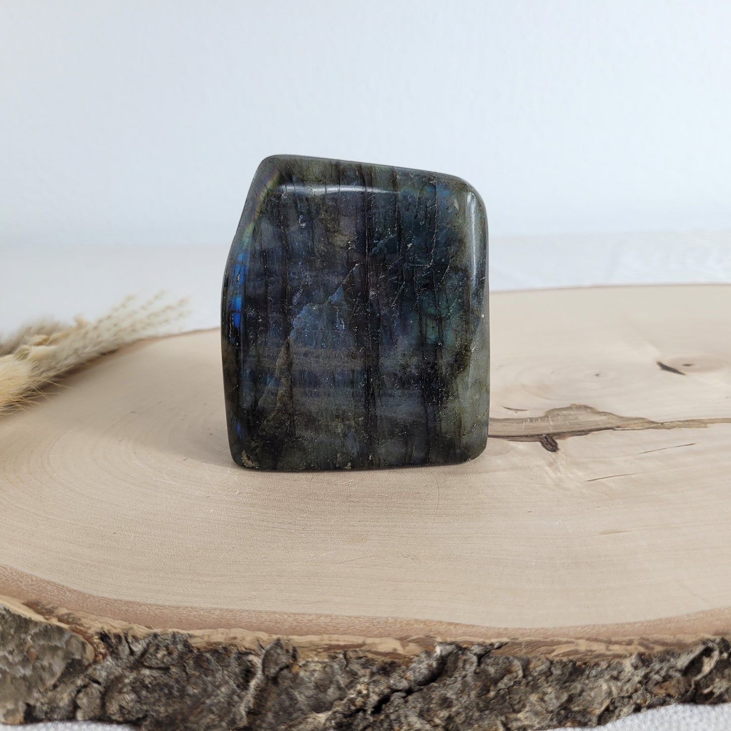 Labradorit Freiform mit natürlichem, intensivem Farbspiel, präsentiert auf einer Holzscheibe. Die typische Lamellenstruktur bricht das Licht auf besondere Weise und macht das Stück zu einem besonderen Blickfang.