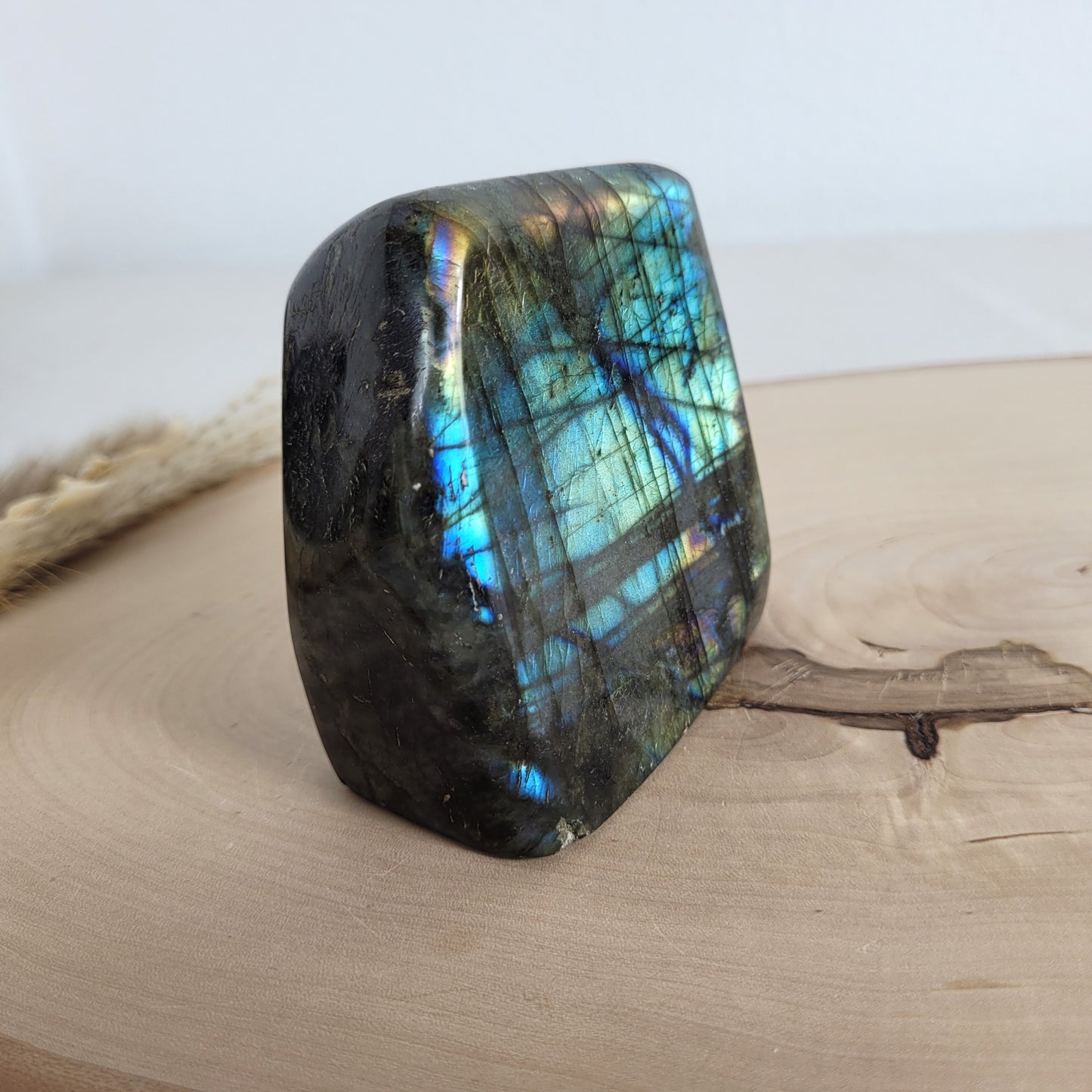 Labradorit Freiform mit natürlichem, intensivem Farbspiel, präsentiert auf einer Holzscheibe. Die typische Lamellenstruktur bricht das Licht auf besondere Weise und macht das Stück zu einem besonderen Blickfang.