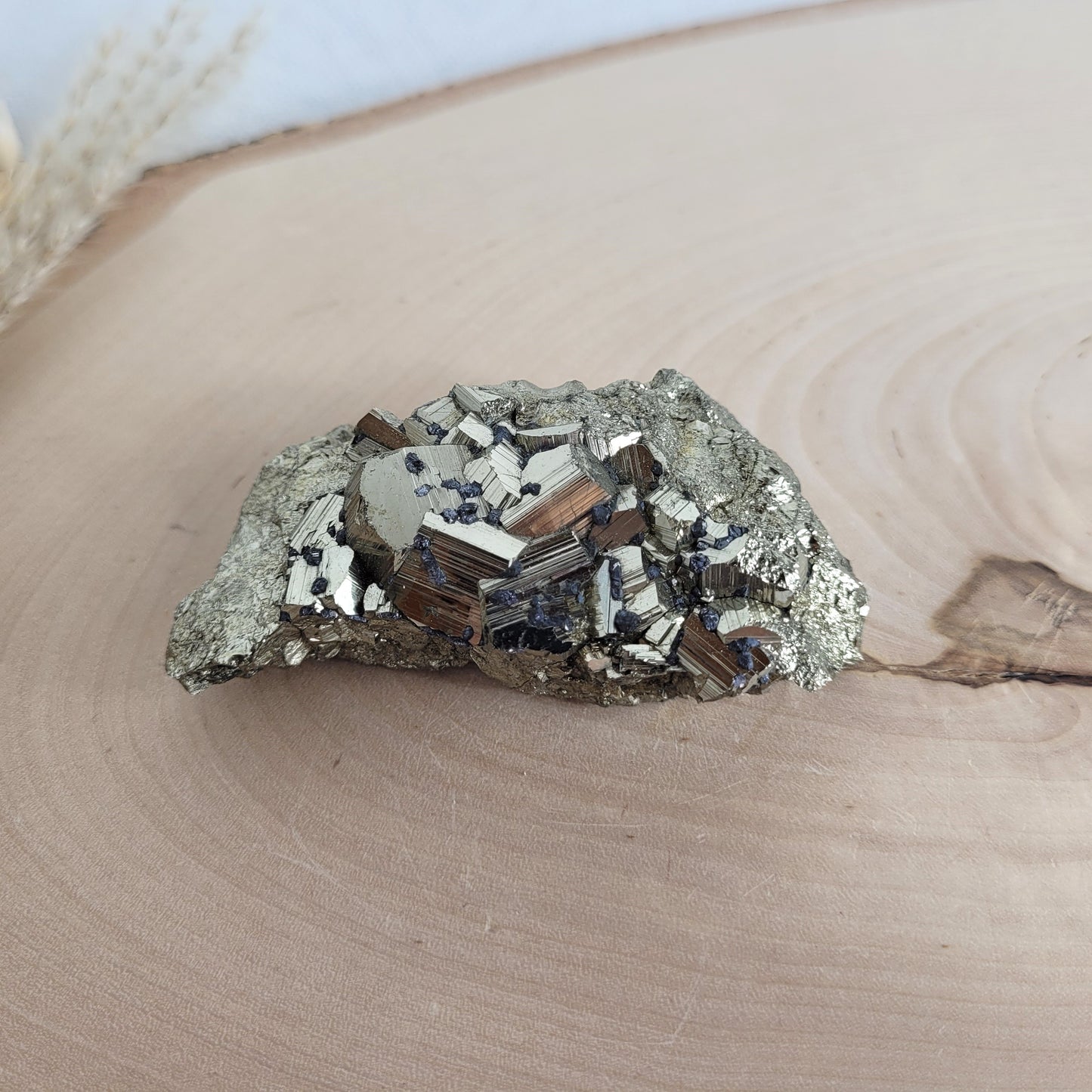 Pyrit-Kristallstufe auf einer Holzscheibe als natürlicher Hintergrund. Die metallisch glänzenden Kristalle heben sich kontrastreich vom warmen Holzton ab.