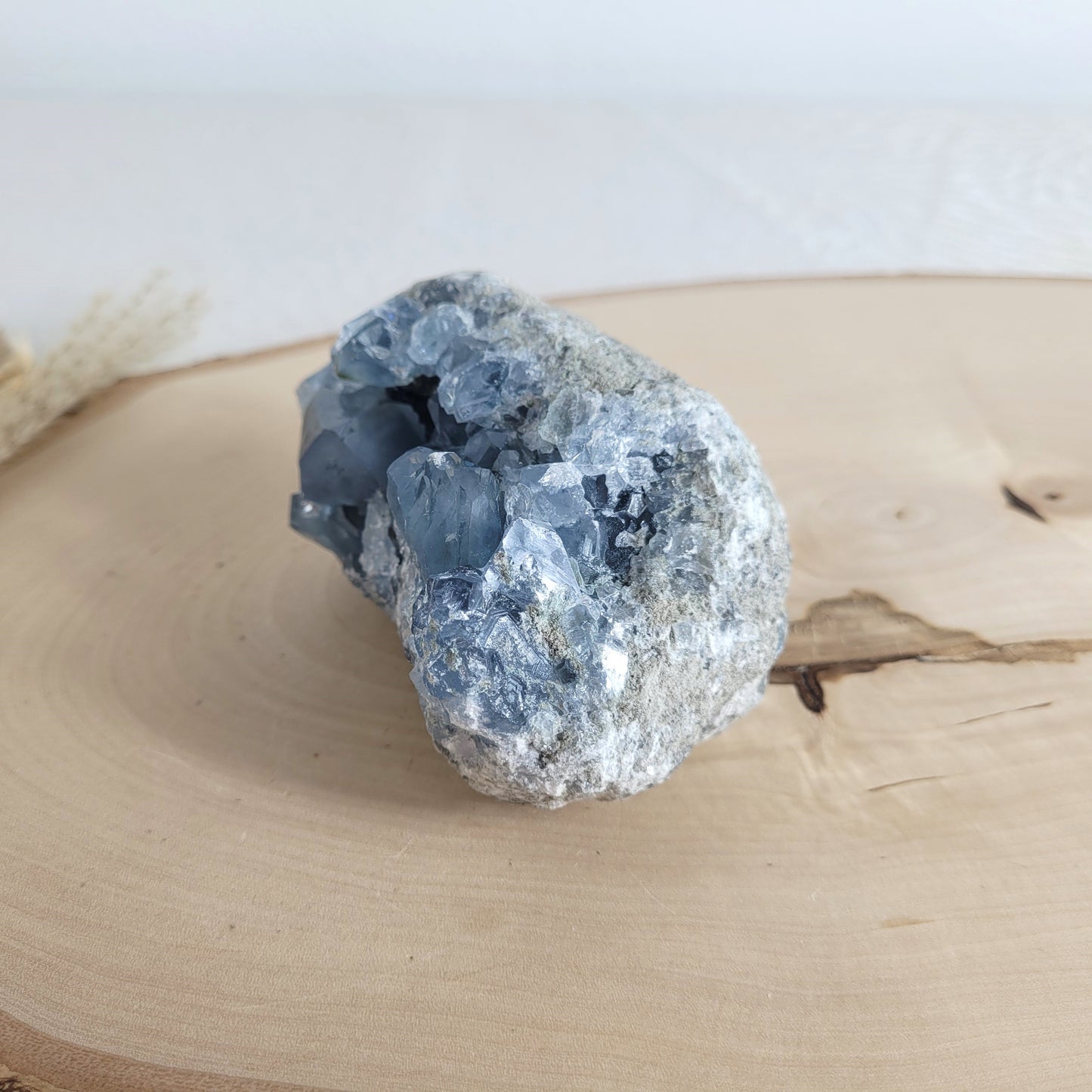 Coelestin-Kristallstufe mit zartblauen Kristallen, schön gewachsen und natürlich belassen. Präsentiert auf einer schlichten Holzscheibe – ein Stück Erdgeschichte in purer Form.