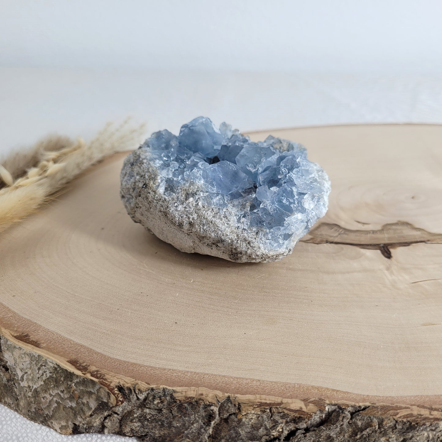 Coelestin-Kristallstufe mit zartblauen Kristallen, schön gewachsen und natürlich belassen. Präsentiert auf einer schlichten Holzscheibe – ein Stück Erdgeschichte in purer Form.