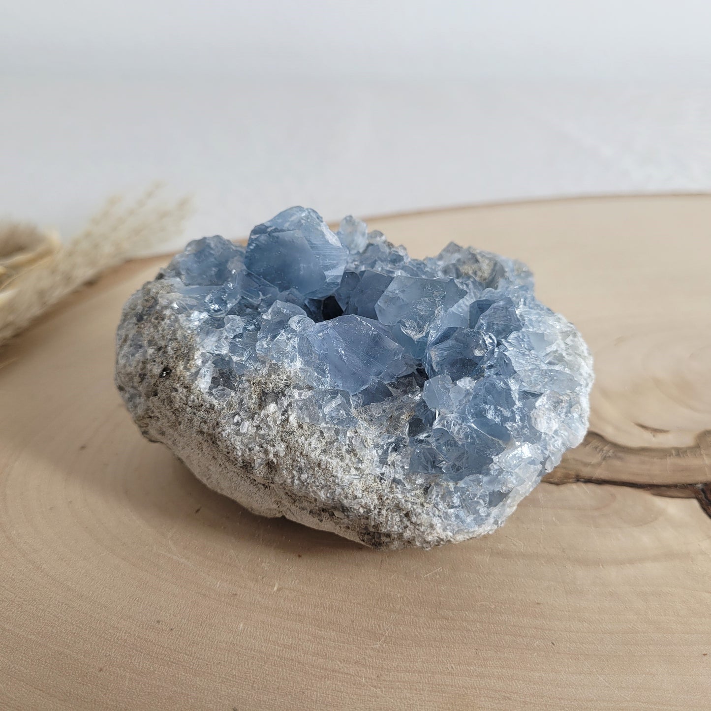 Coelestin-Kristallstufe mit zartblauen Kristallen, schön gewachsen und natürlich belassen. Präsentiert auf einer schlichten Holzscheibe – ein Stück Erdgeschichte in purer Form.