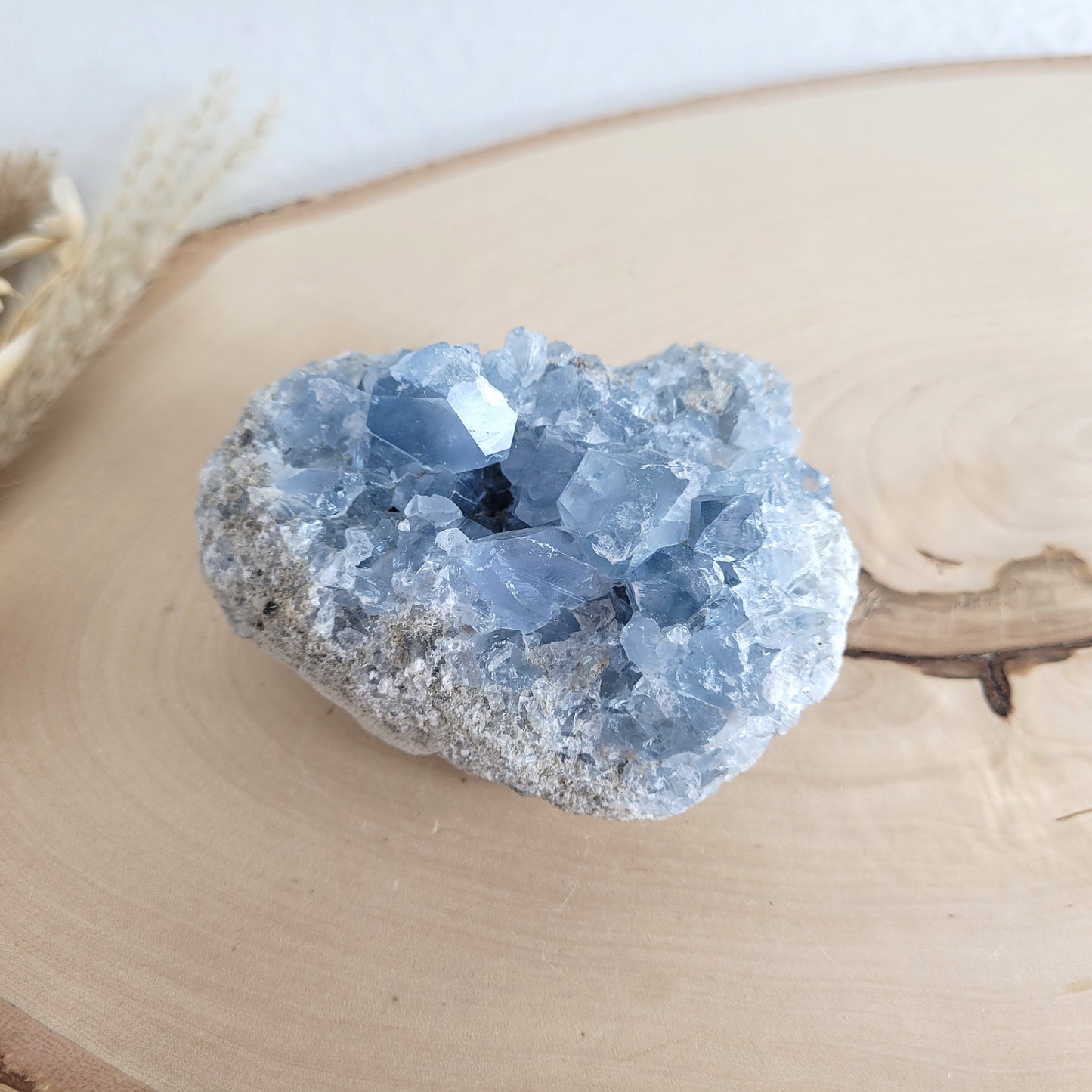 Coelestin-Kristallstufe mit zartblauen Kristallen, schön gewachsen und natürlich belassen. Präsentiert auf einer schlichten Holzscheibe – ein Stück Erdgeschichte in purer Form.
