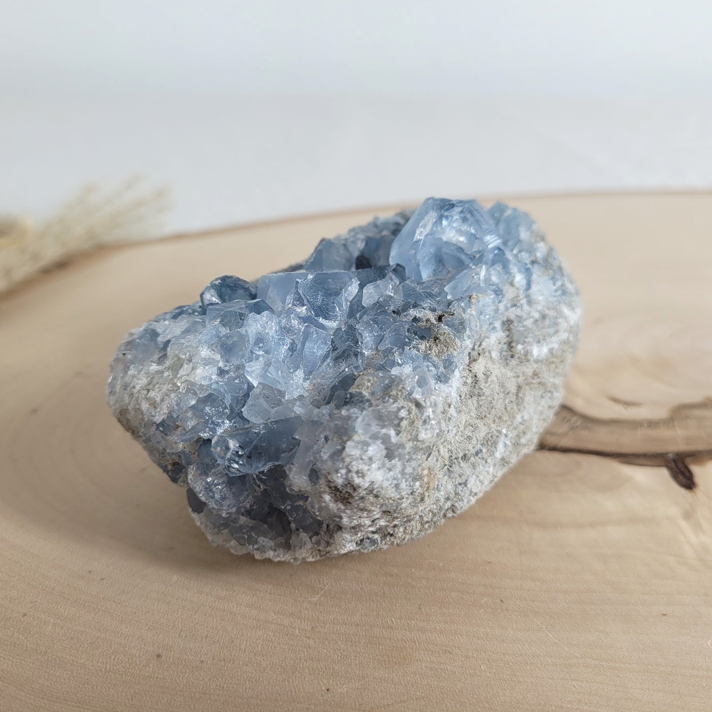 Coelestin-Kristallstufe mit zartblauen Kristallen, schön gewachsen und natürlich belassen. Präsentiert auf einer schlichten Holzscheibe – ein Stück Erdgeschichte in purer Form.