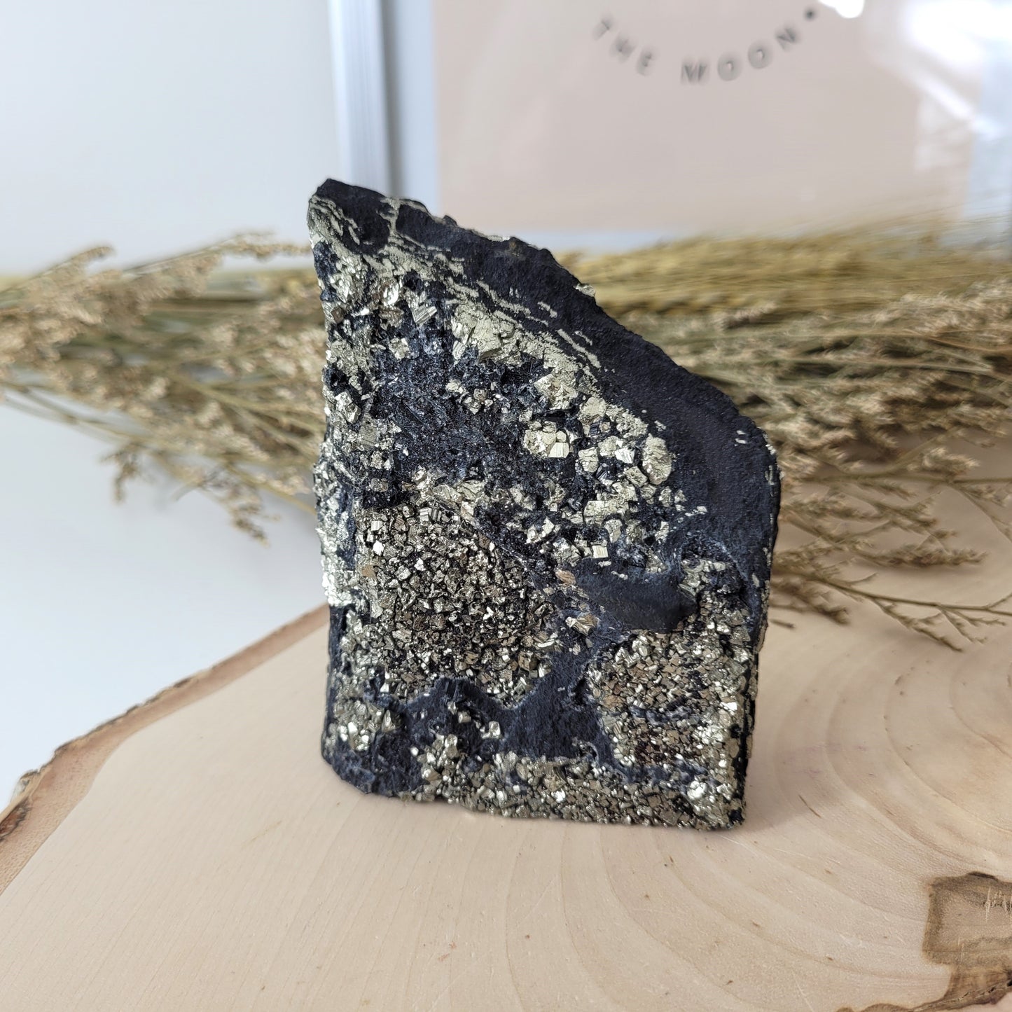 Schungit mit Pyrit Rohstein Freiform 9,3 x 6,7 cm