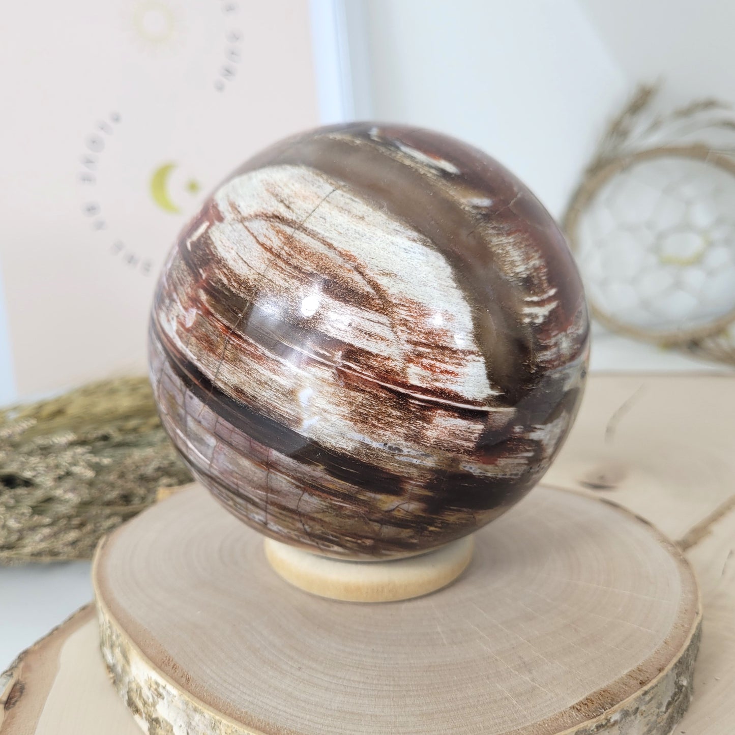 Versteinertes Holz XL Kugel 10,1cm Durchmesser, 1597g