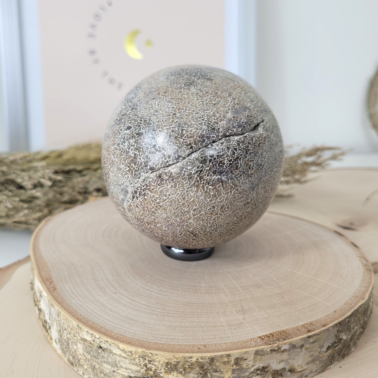 Versteinerter Dinosaurier Knochen Kugel 7,5cm Durchmesser