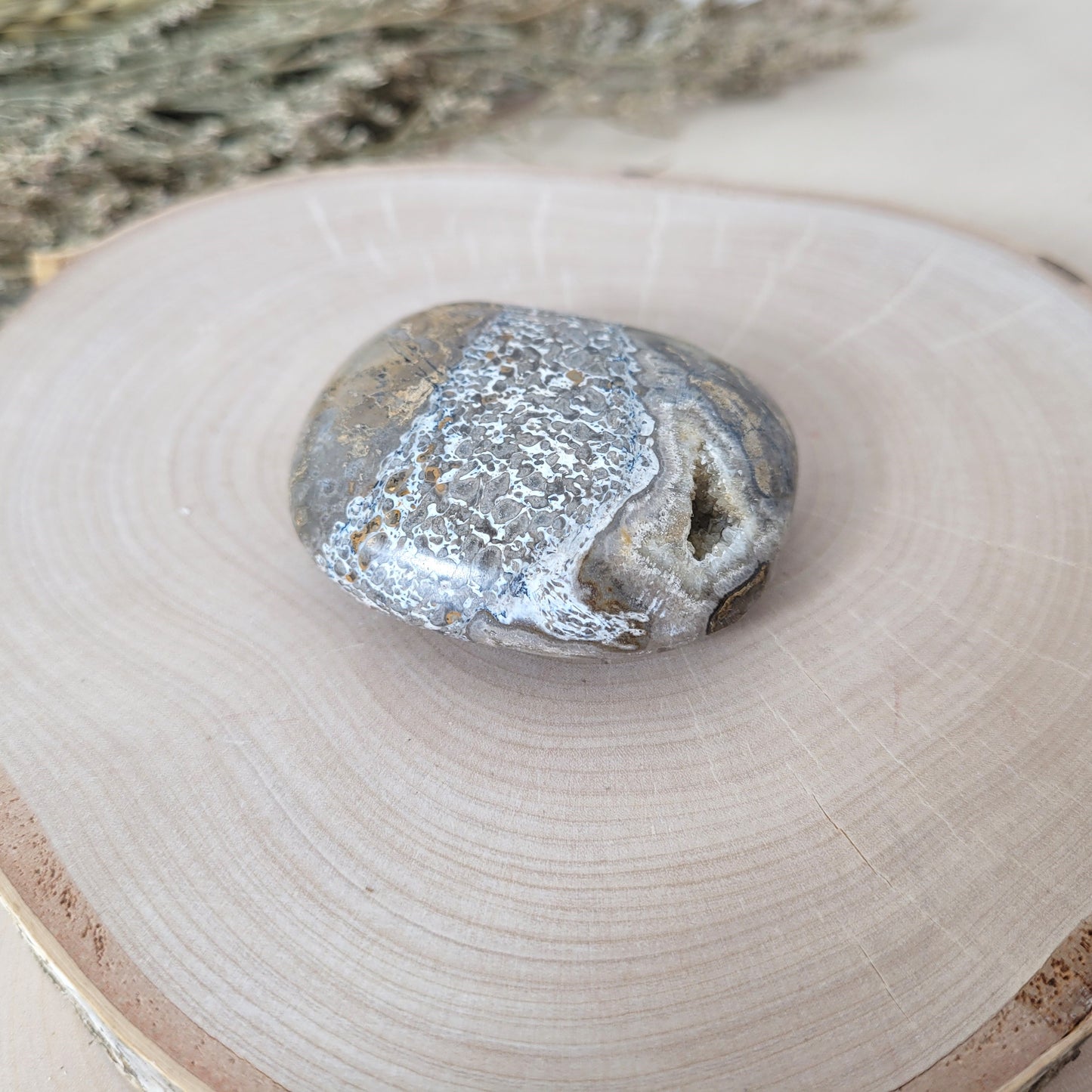 Versteinerter Dinosaurier Knochen Fossil Handstein 5 x 4,2cm