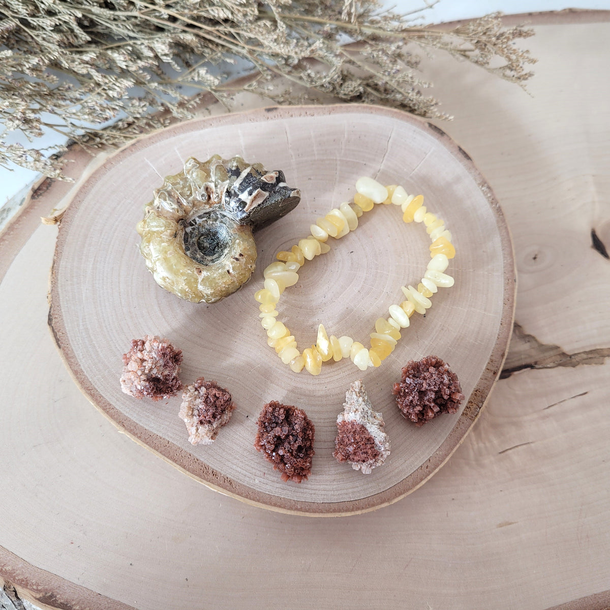 Bundle Angebot des Tages 22.10.2026 Autumn Love: Ammonit Fossil, Orangencalcit Splitterarmband, 5x Mini Aragonit Igelkristalle