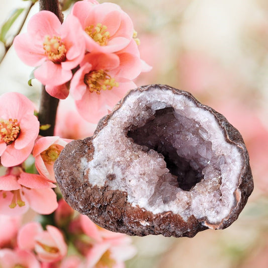 Pink Amethyst Geode, Frühlingskristalle