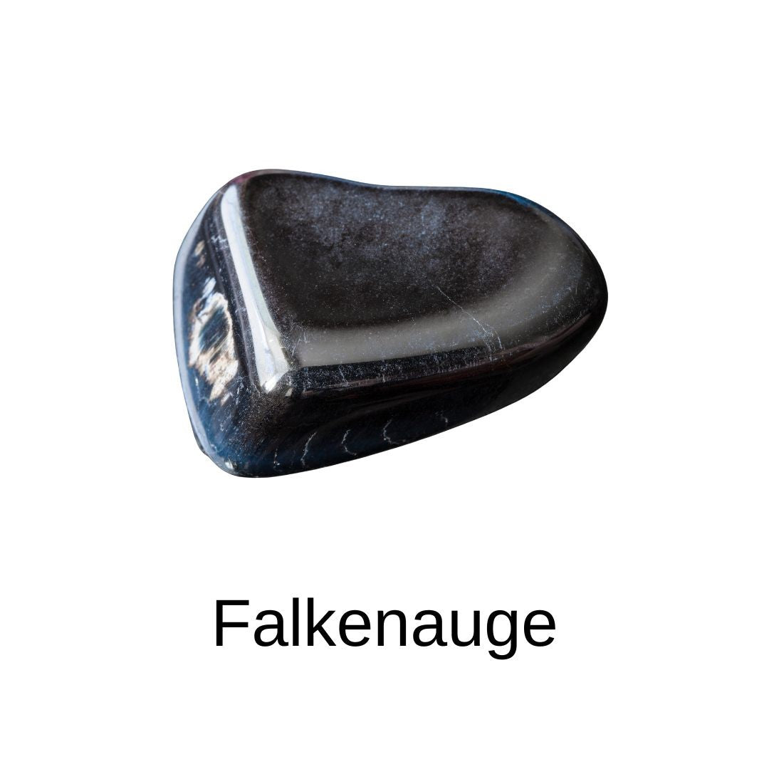 Falkenauge