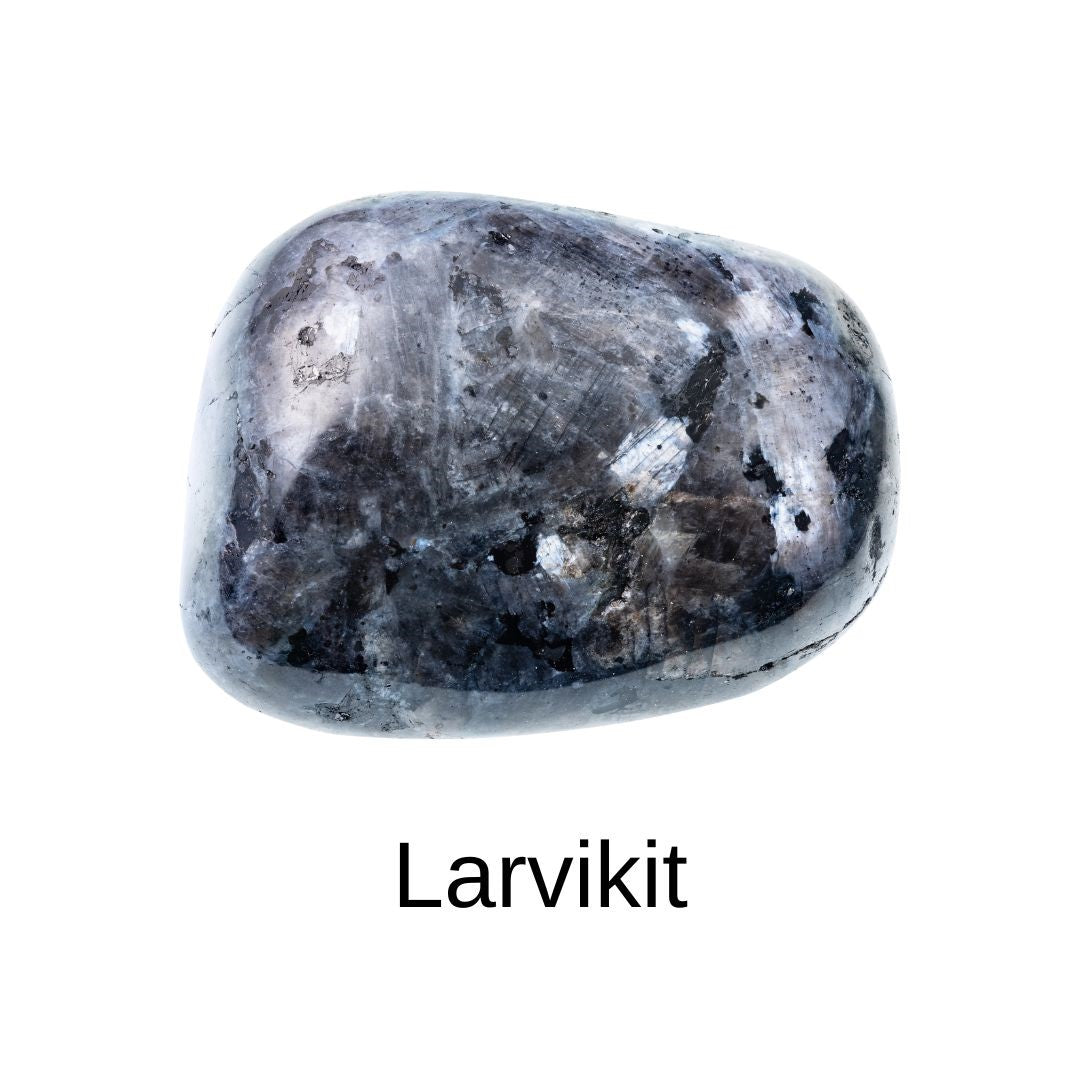 Larvikit kaufen