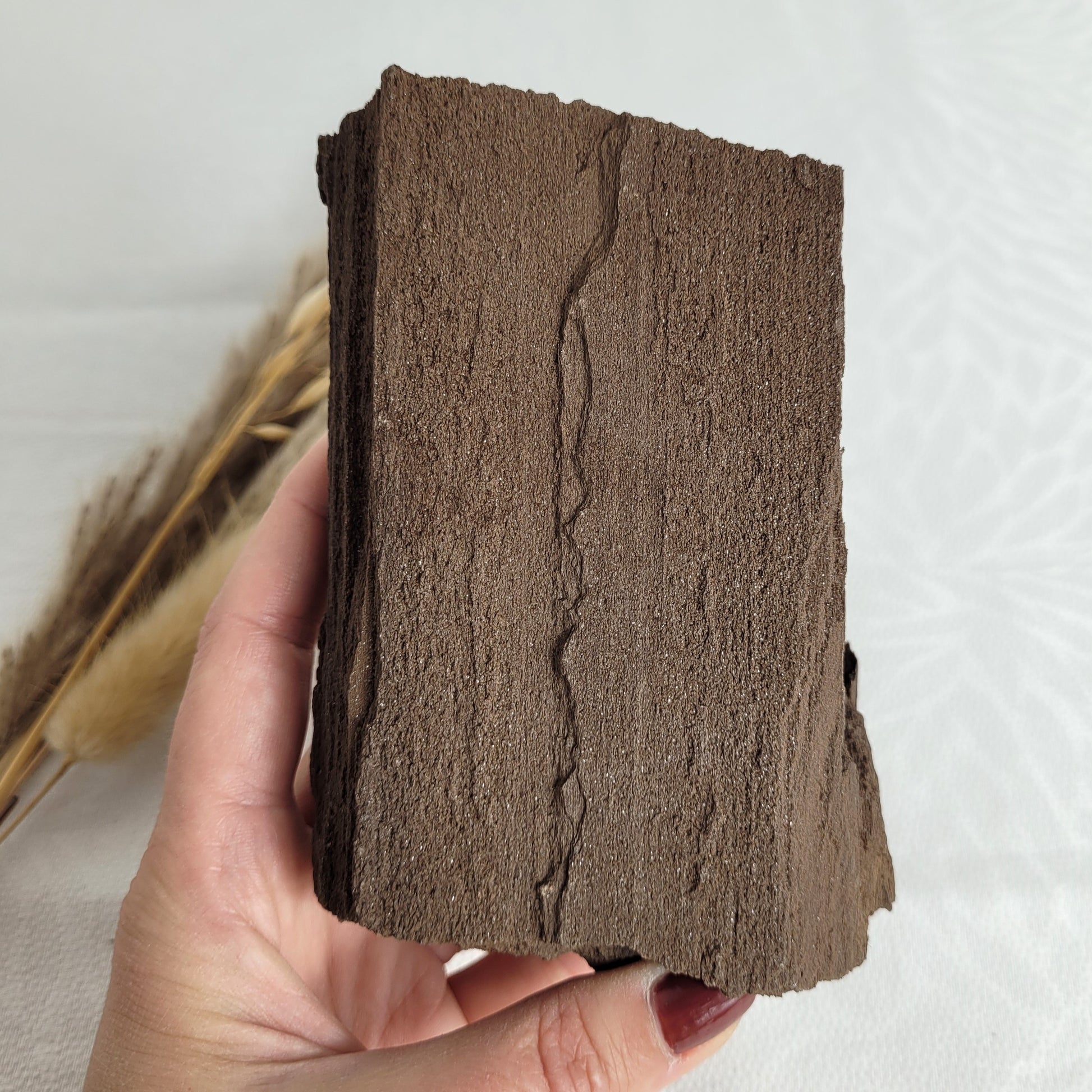 Versteinertes Holz mit Quarzkristallen