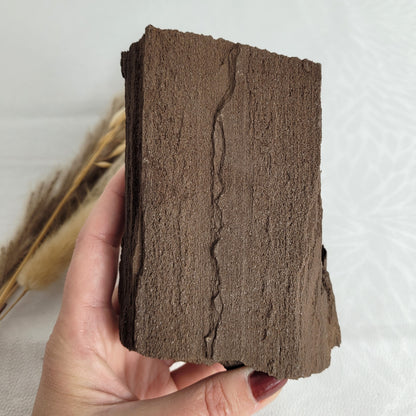 Versteinertes Holz mit Quarzkristallen