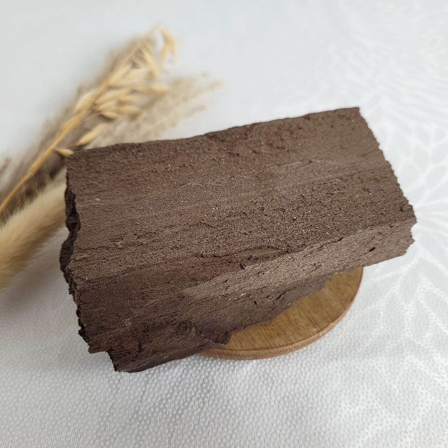 Versteinertes Holz mit Quarzkristallen
