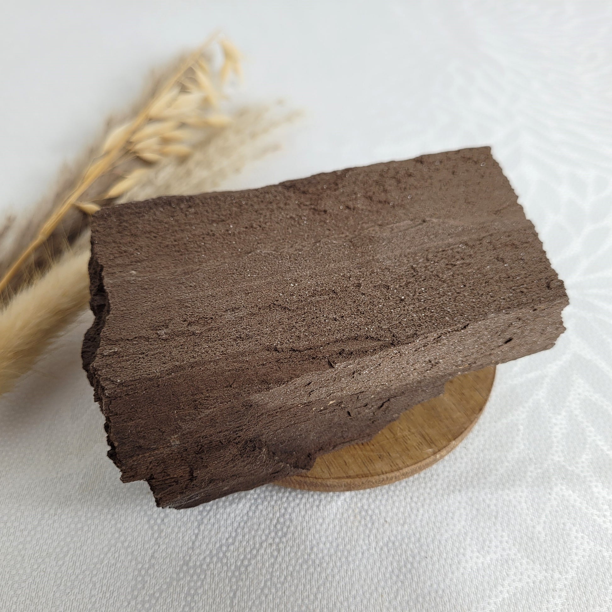 Versteinertes Holz mit Quarzkristallen